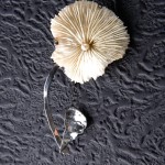 Pansy Pin - Mushroom Coral and Natural Pearl